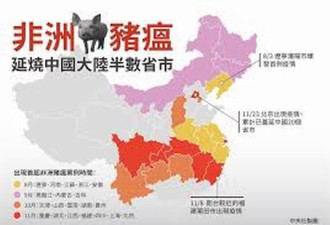 非洲猪瘟频传  中国准备打好持久战