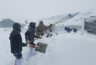 西藏多地出现特大暴雪 积雪半米厚 风力10级