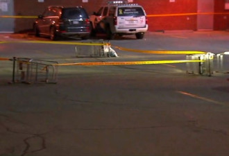 多伦多中区唐人街附近枪击案 一人重伤