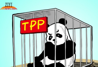 中国外事：北京若加入TPP将中日本圈套