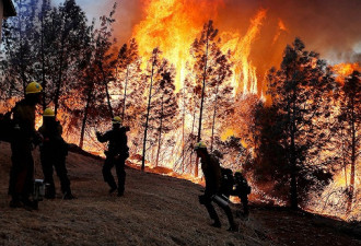 抗击加州山火：时薪1美元的囚徒消防员们