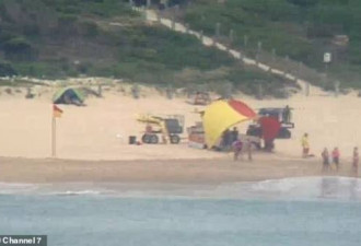 4米巨鲨出没！悉尼海滩紧急关闭 游客被疏散