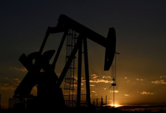 国际油价跌至50美元 阿省陷危机 杜鲁多称无解