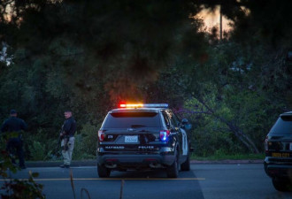 加州16岁少女驾失窃汽车撞向警察 被当场击毙