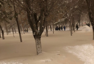 新疆现极端天气：多个地区竟然降下黄雪