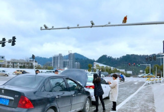 女司机多看信号灯上猴屁股几眼 和前车追尾