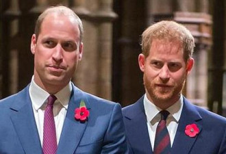 英媒曝威廉和哈里兄弟不和 查尔斯王子出面调解