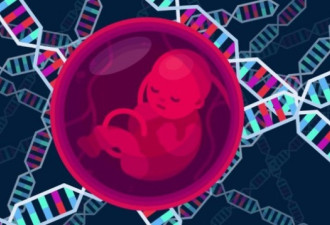 首例基因编程婴儿中国诞生 引伦理争议