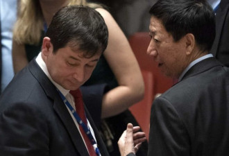 联合国紧急会议爆发激烈争执一幕：中国挺俄