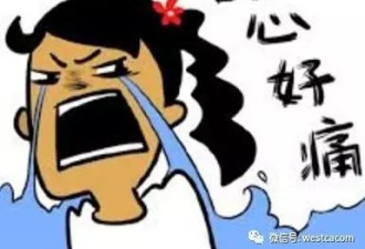 不是会员怎么去Costco购物？省钱分分钟的事！