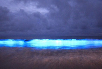 澳州惊现水下蓝色“北极光” 令人眼花缭乱