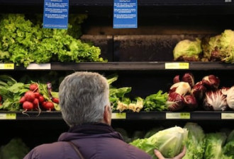 食检局采取措施 防带大肠杆菌罗马生菜进入市场