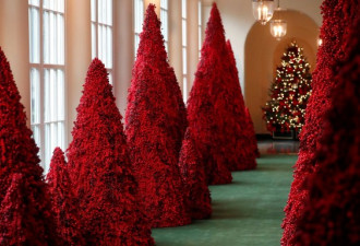 第一夫人将白宫圣诞树刷红色 网民不适