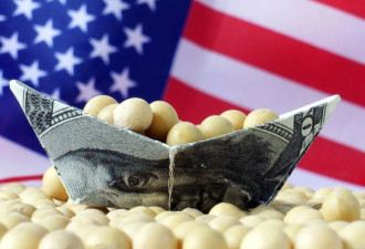 遭中美贸易战反噬，美国丰收的大豆开始腐烂