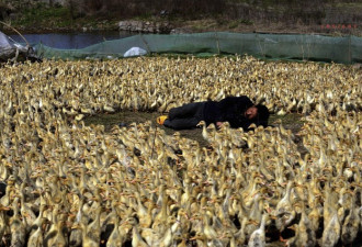 睡眠日还看中国！“中国睡”惊艳了世界…