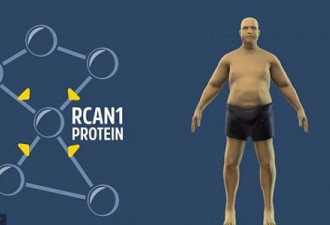 科学家已找到肥胖基因 人类或真正实现猛吃不胖