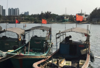 中国要求其渔船在20国峰会期间保证规规矩矩