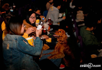 犬主带狗包场看电影 影院准备两片尿不湿