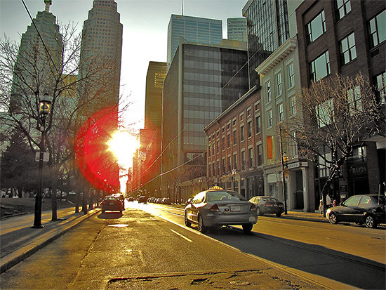 “sunny toronto”的图片搜索结果