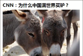 英媒炒作！中国人吃驴又被黑了…