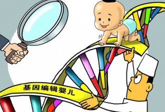 中国国内46名律师联名声讨基因编辑婴儿