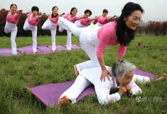 湖北老太花海中秀瑜伽 平均年龄60岁