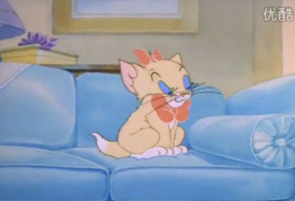 长大后再看《猫和老鼠》，才发现讲的全是人生