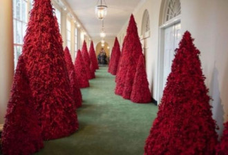今年白宫的圣诞装饰与众不同！ 喜庆？血淋淋？