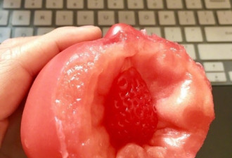 西红柿里吃出“草莓” 网友：跨越种族的爱情