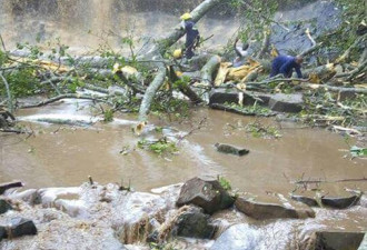 加纳一瀑布景区发生大树倒塌事故至少16人遇难