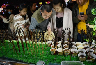 沈阳现重口味“昆虫宴” 2米大蛇遭剥皮油炸