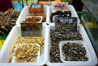 沈阳现重口味“昆虫宴” 2米大蛇遭剥皮油炸