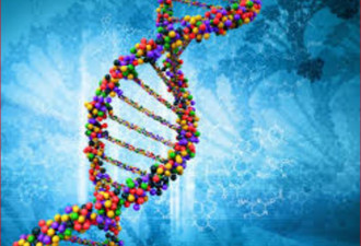 基因遗传决定你的一生： 你中招了吗？