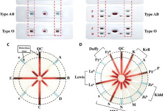 中国科学家发明试纸 验出血型只需要30秒