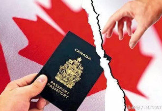 6500中国人放弃加拿大永久居民身份 还是好事