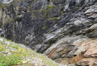 加拿大发现超级洞穴 神似《星战》外星生命巢穴