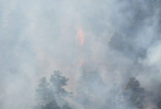 美国科罗拉多州发生山火 千余家庭紧急转移