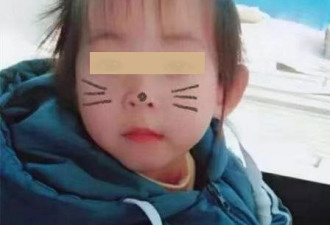 河北车祸后女童遗体失踪 警方: 被肇事司机带走