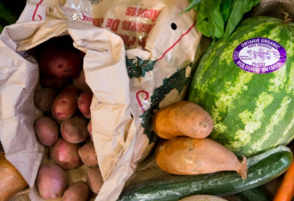 蔬菜价大涨肉价跌 明年食品消费多花好多钱