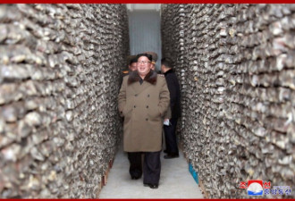 朝鲜金正恩冬季视察渔业基地，女职工争相挥手