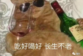 颜值爆表身材不好？谁说胖妹子只有肉没有性感