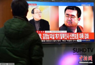 外媒：朝鲜特工赴马调查金正男案 挨家打听消息