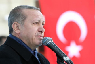 土耳其总统:被捕德国记者是&quot;恐怖分子的特工&quot;