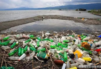 2050年全球海洋里塑料垃圾的数量将超过鱼类