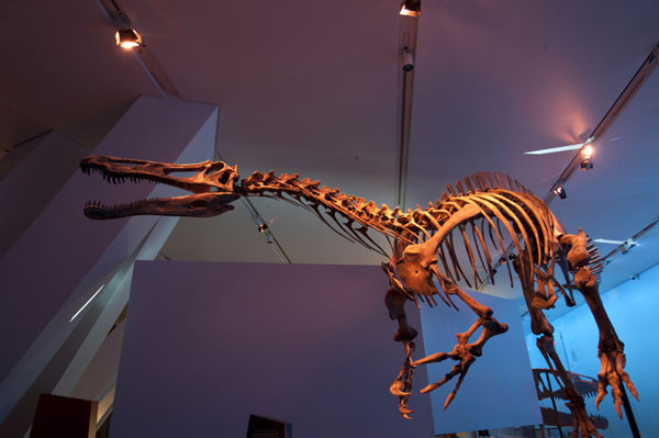 rom-dinosaurs-Suchomimus-in.jpg