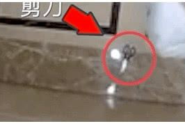毁证才被打？曝马蓉进屋后反锁门撕东西冲马桶