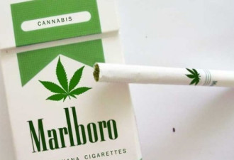 全美烟草市场持续萎靡，万宝路欲进军大麻市场