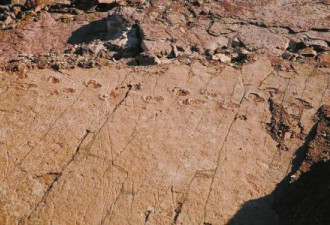 凉山昭觉矿石开采爆破 暴露出大面积恐龙足迹群
