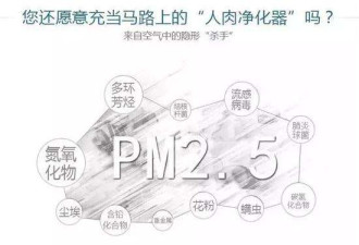 全球贸易让PM2.5“杀人”:每年70万人因其早死