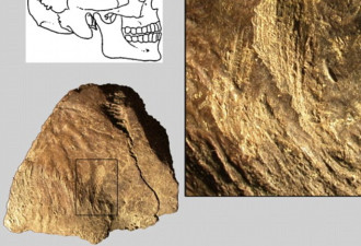 西班牙古老洞穴内的食人行为:可追溯至1万年前